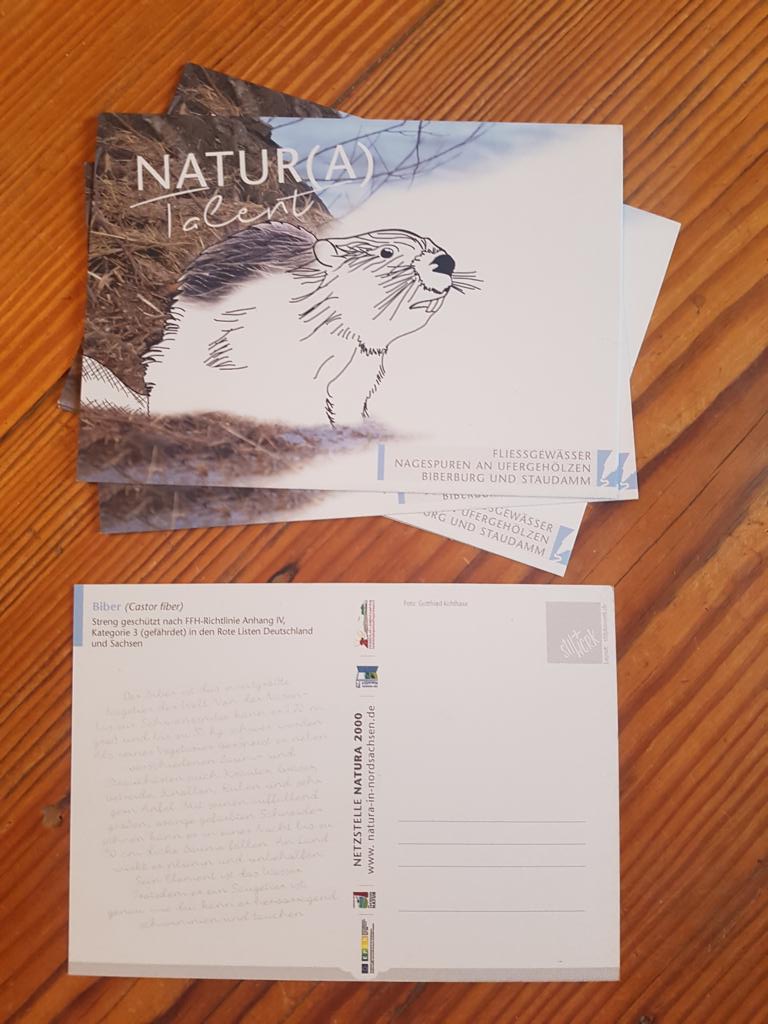 K1024 Natura 2000 Postkarte Biber