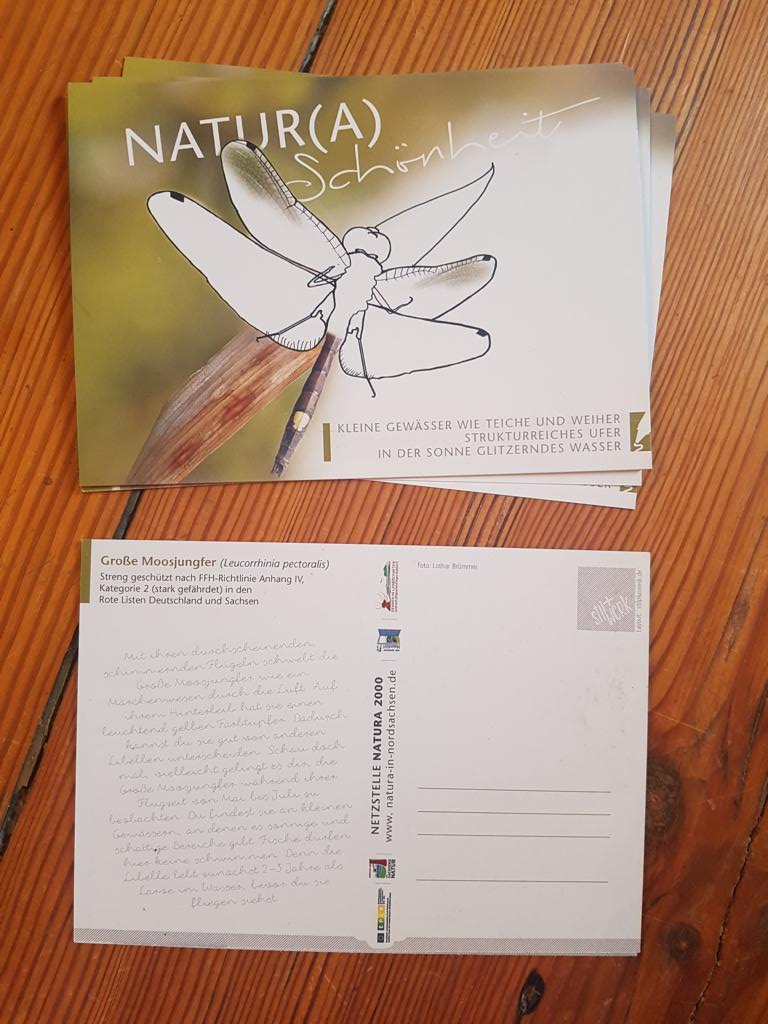 K1024 Natura 2000 Postkarte Groe Moosjungfer
