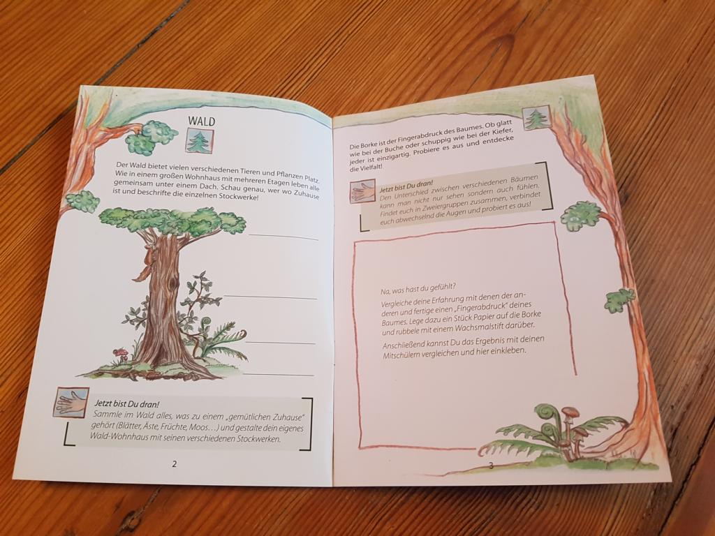 Natura Tagebuch Beispielseite Lebensraum Wald