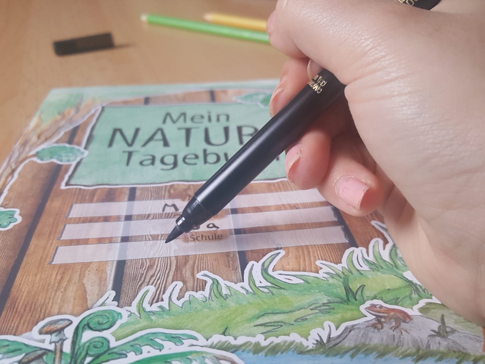Mein Natura Tagebuch