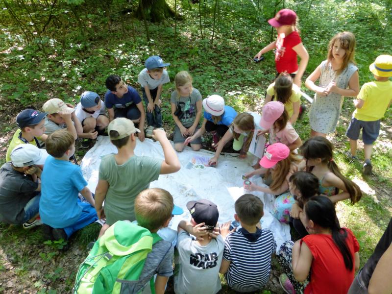 K800 2016 06 Geschwister Scholl GS Lpz Dahlen 06