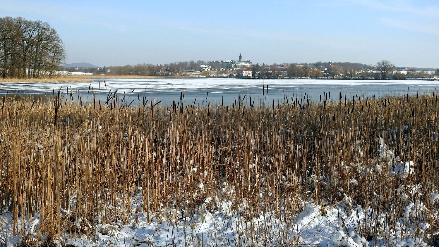 Blick über den Horstsee, links im Bild die Insel (Wegpunkt 3) © Mario Teumer