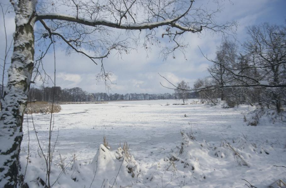 Winterstimmung in der Bennewitzer Teichlandschaft © Gottfried Kohlhase